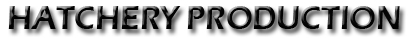 Hatchery Production